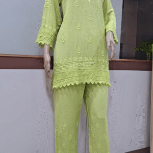 Stylish Co-Ord Set: Kurti with Pant Set